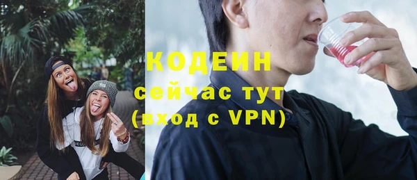 первитин Гусев