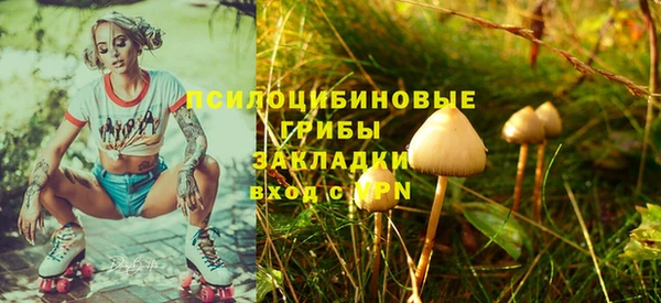 мескалин Гусь-Хрустальный