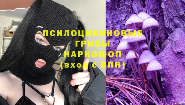 первитин Гусев