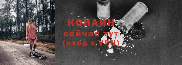 первитин Гусев