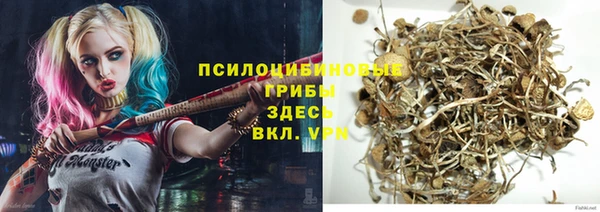 соль курить ск Горняк