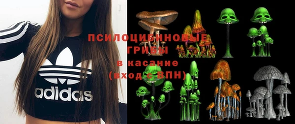 амфетамин Горнозаводск