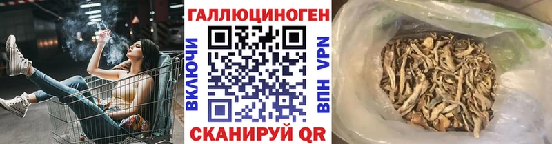Псилоцибиновые грибы Cubensis  где купить наркотик  Коломна 